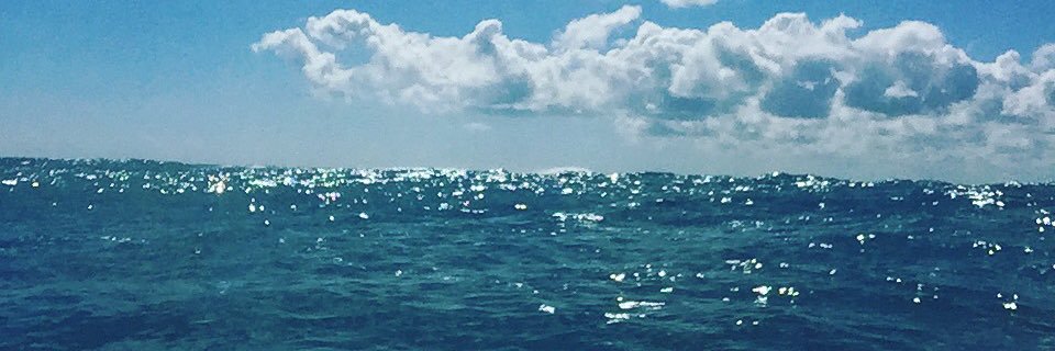 _fisherlicious's profile banner image