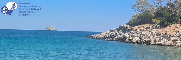 HydraSchool Profile Banner