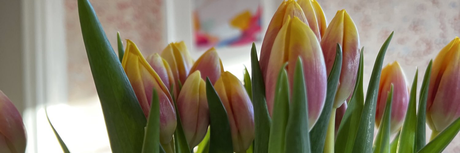 brookehryan's profile banner image