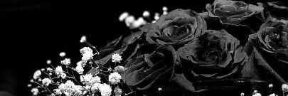 zinxxab_'s profile banner image