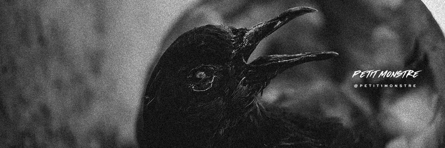 petit1Monstre's profile banner image