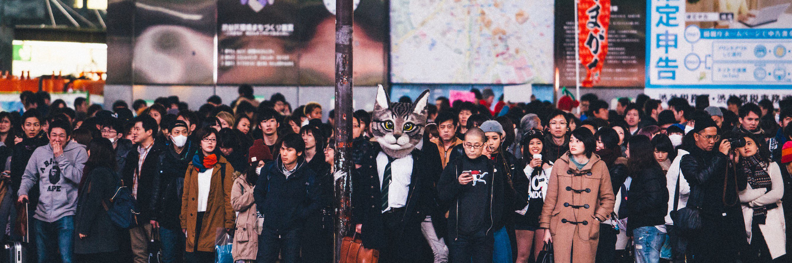 GypsyandtheCat's profile banner image