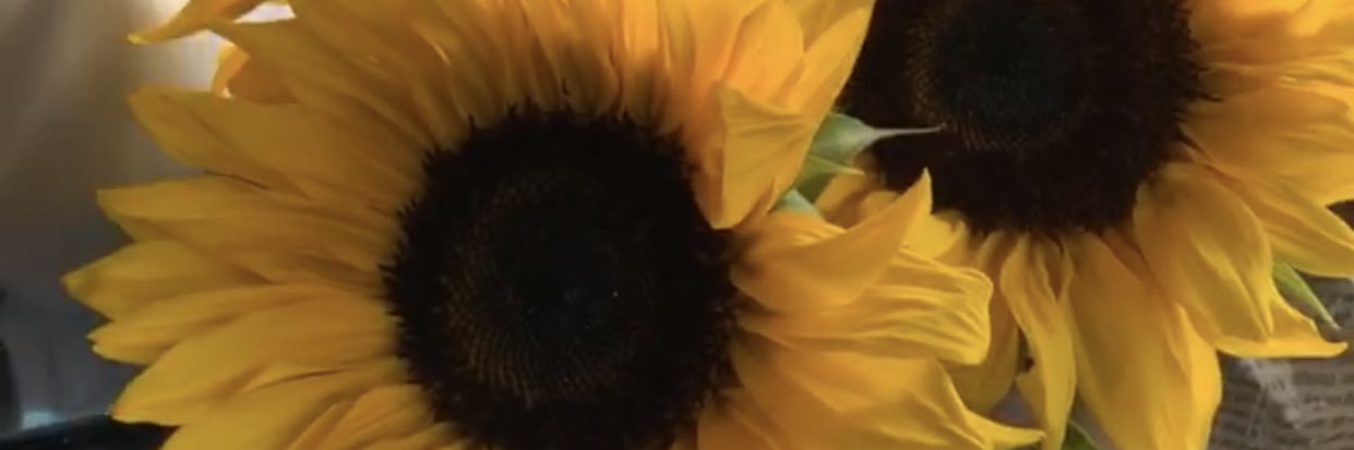 _channnyb's profile banner image