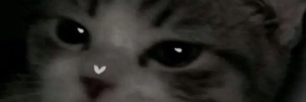 TAMPlK's profile banner image