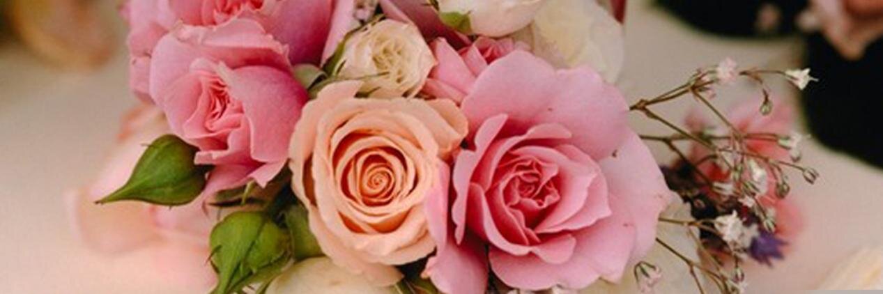 Benjamin paulraj banner