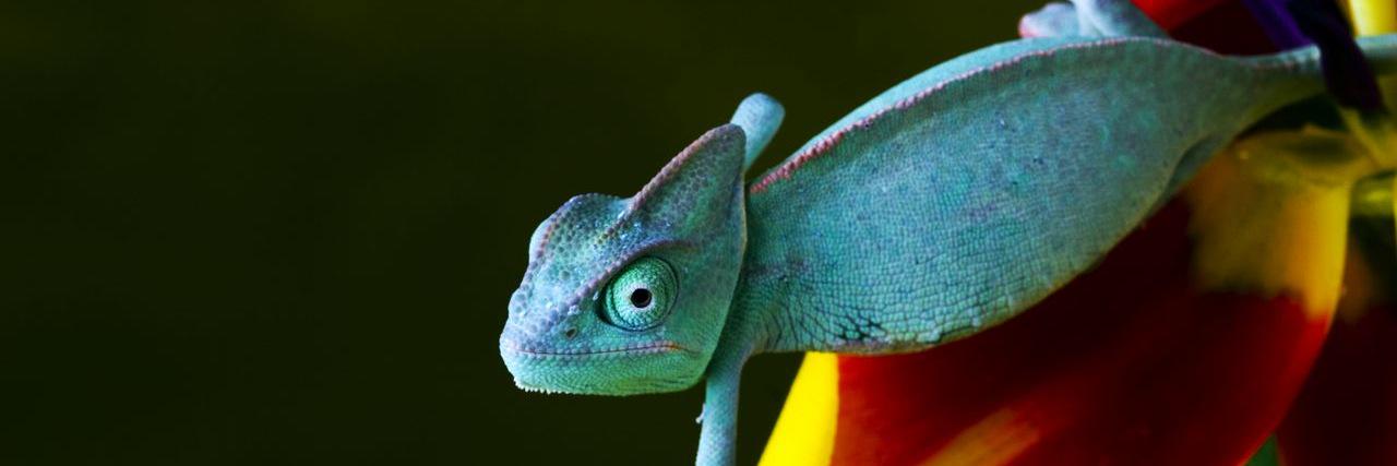 WellesleyLaw's profile banner image