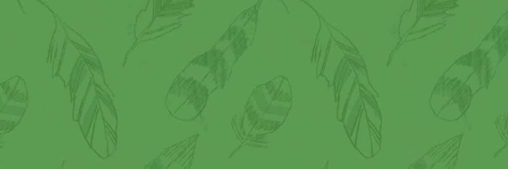 Kitty_Shihouin's profile banner image