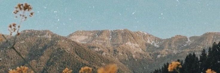 aommoni_'s profile banner image