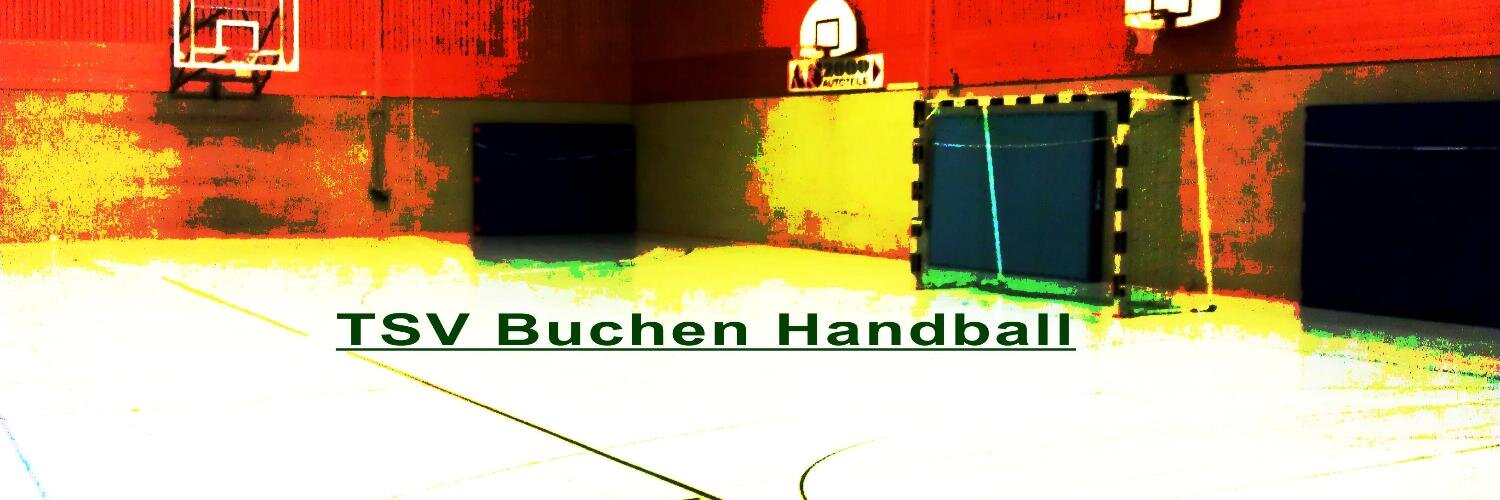 tsvbchhandball's profile banner image