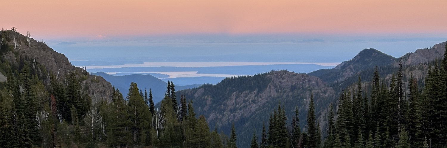 Mark Svendsen banner