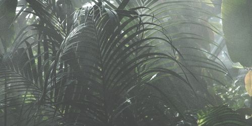 BenvMaelle's profile banner image
