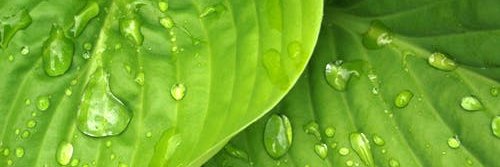 vrishaba05's profile banner image