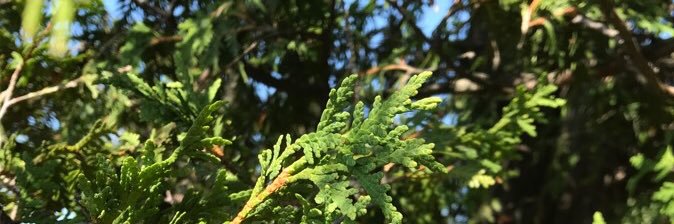 Fred_Fortin's profile banner image