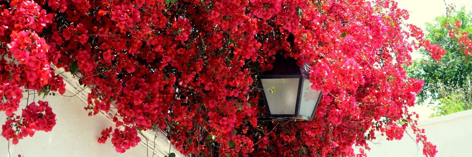 aldenapg's profile banner image