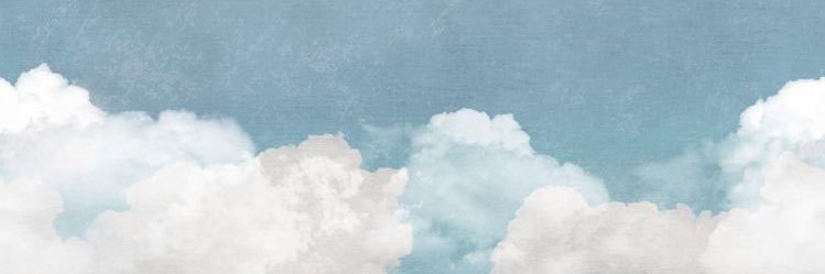 fondrizzle's profile banner image