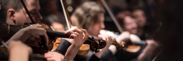 MaestroCock Profile Banner