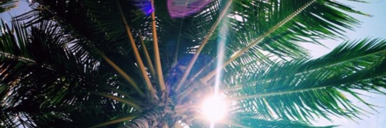dannsousa17's profile banner image
