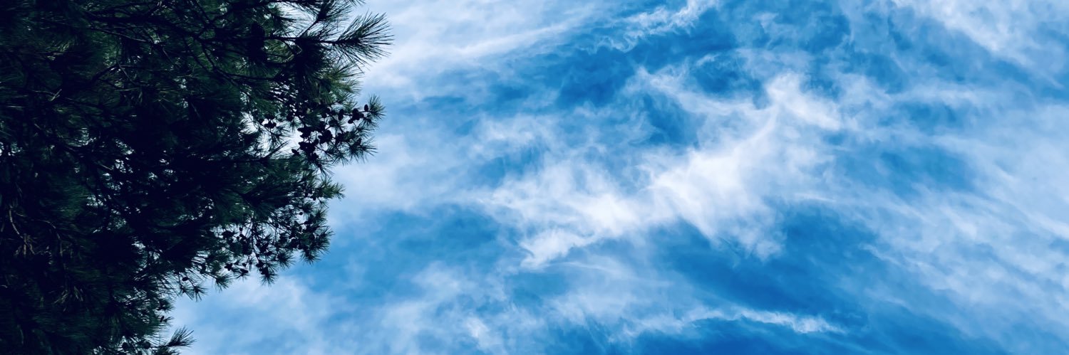 _bg_2's profile banner image