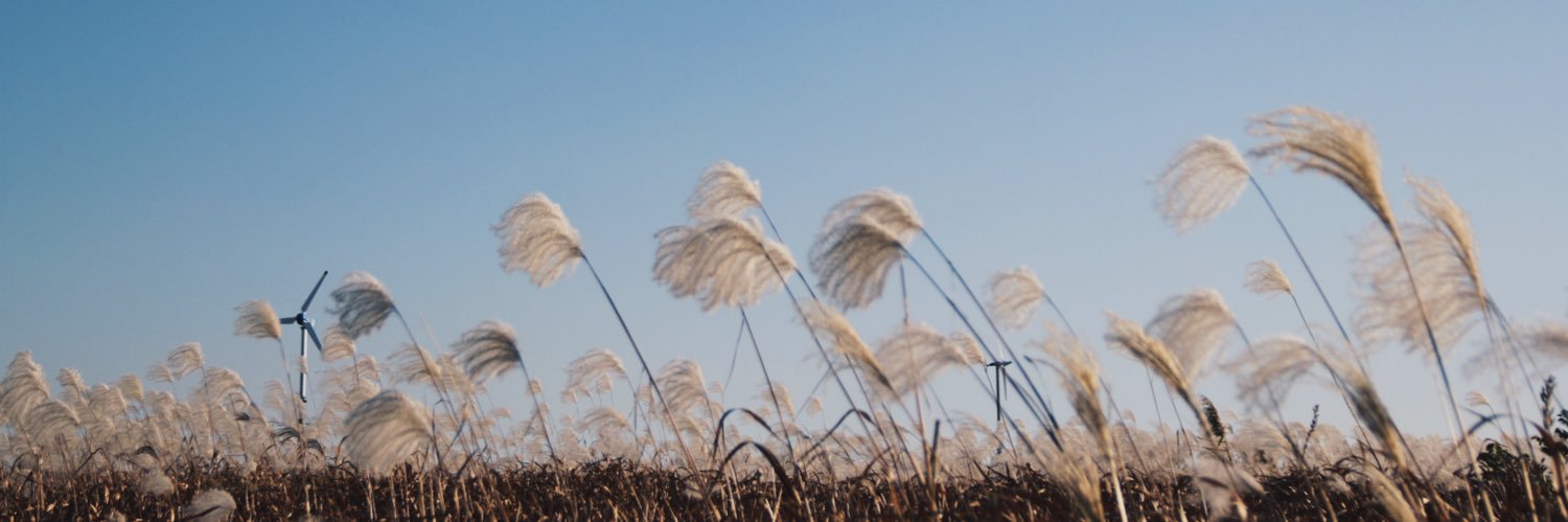 ☆ 𝒑𝒓𝒂𝒆𝒘 . banner