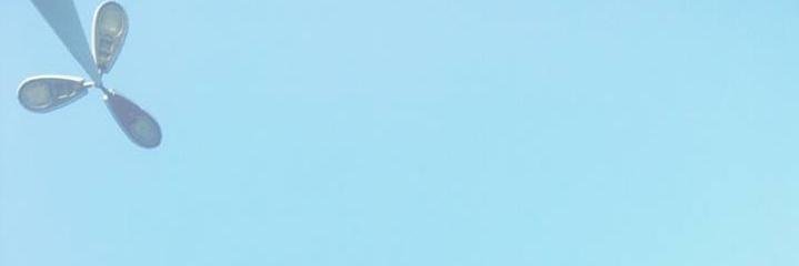 hupsitenky's profile banner image
