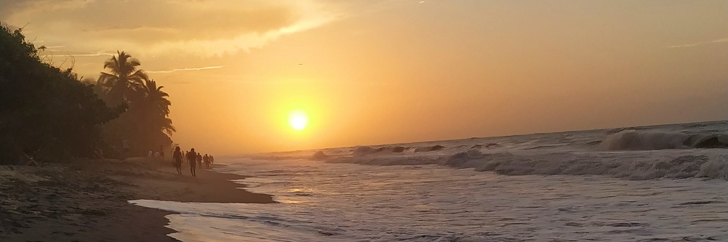 adarroy's profile banner image