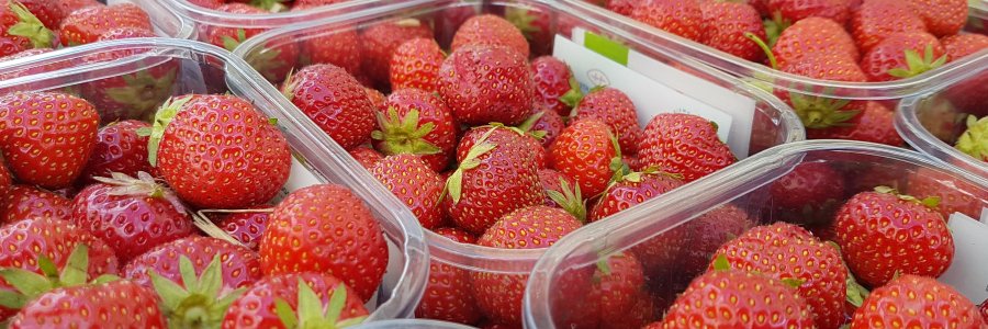 Agroisolab UK banner