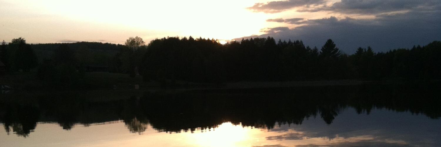 lpdavie's profile banner image