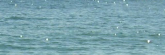 teresapresente's profile banner image