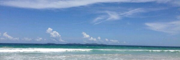 LisDS Profile Banner