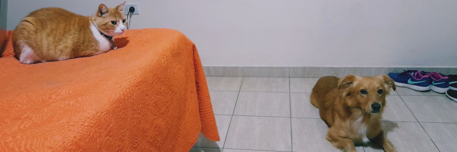 SoolBustaa's profile banner image
