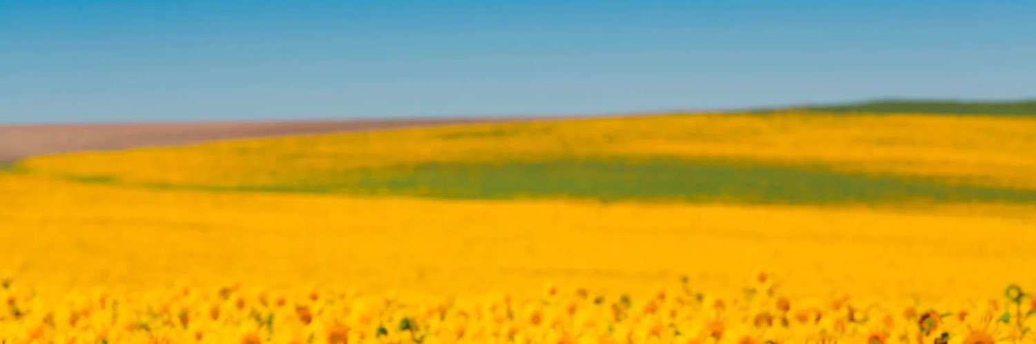 Trepidado's profile banner image