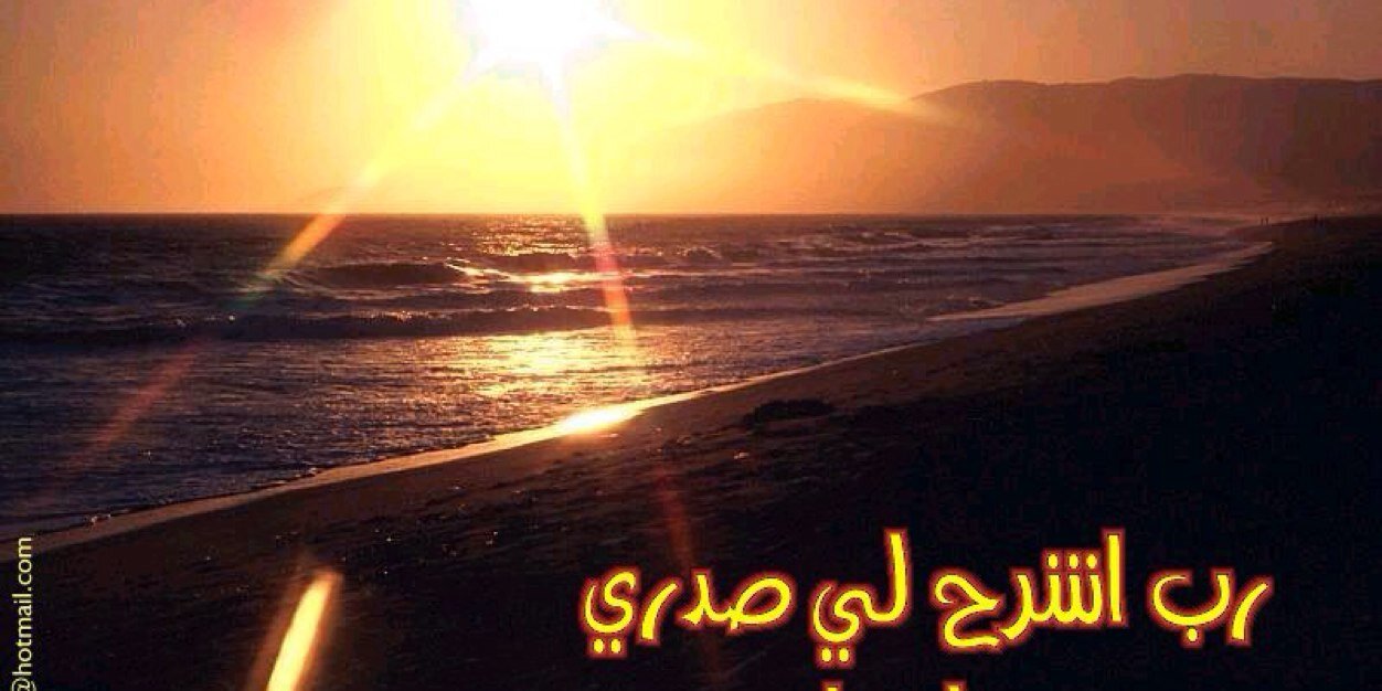 AliAwasa's profile banner image