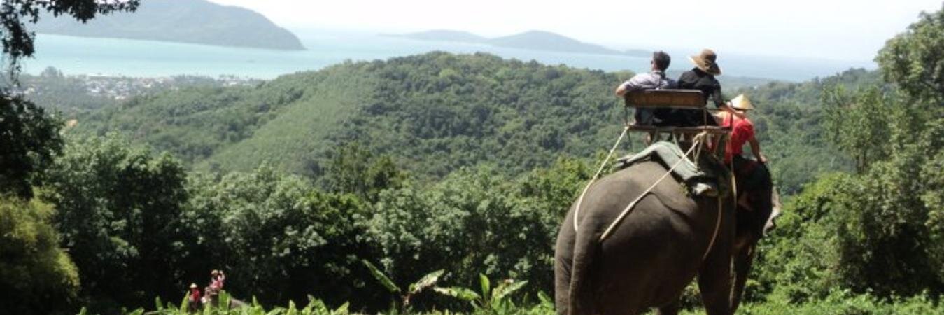 Amyschaus_'s profile banner image