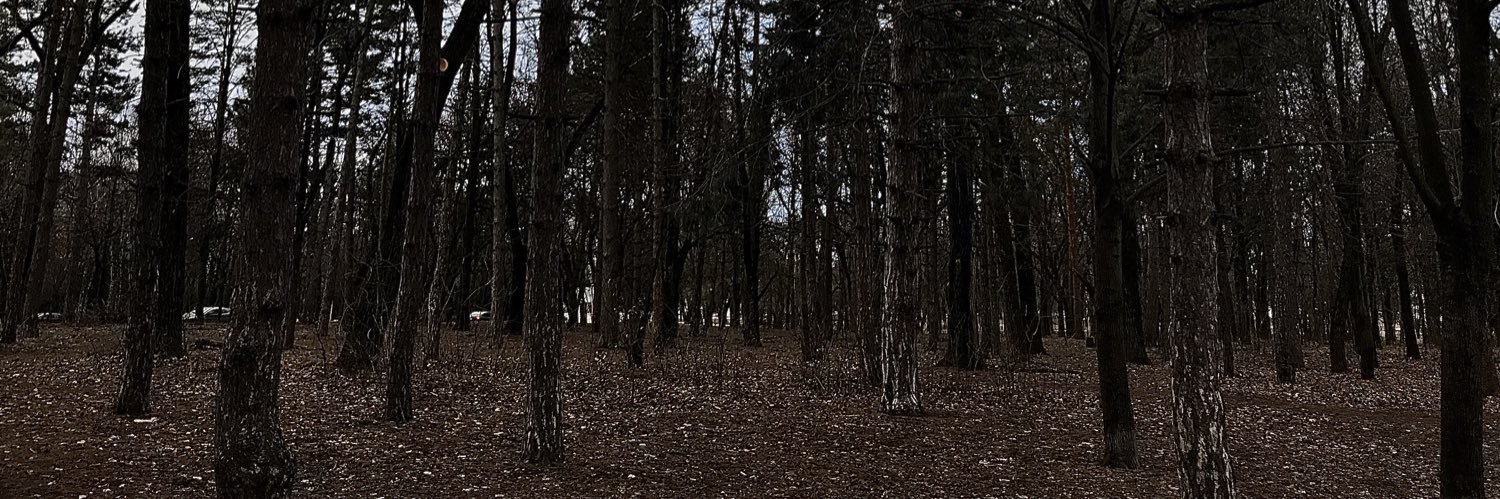 Dorroshen's profile banner image