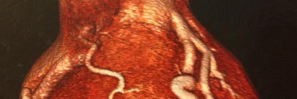 alexandercelyce Profile Banner