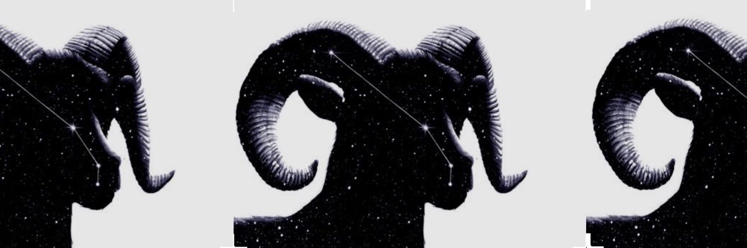 _tiernei's profile banner image