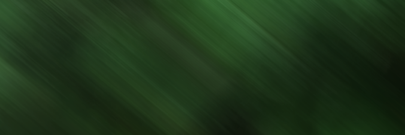 SWiefling's profile banner image