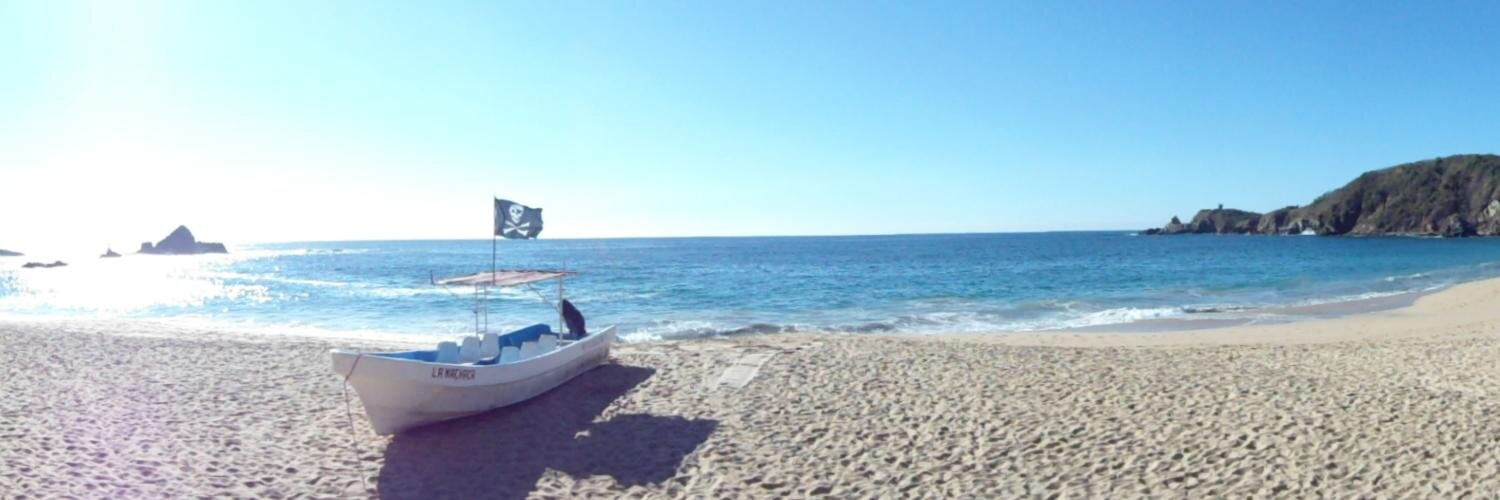 Curador de absurdos banner