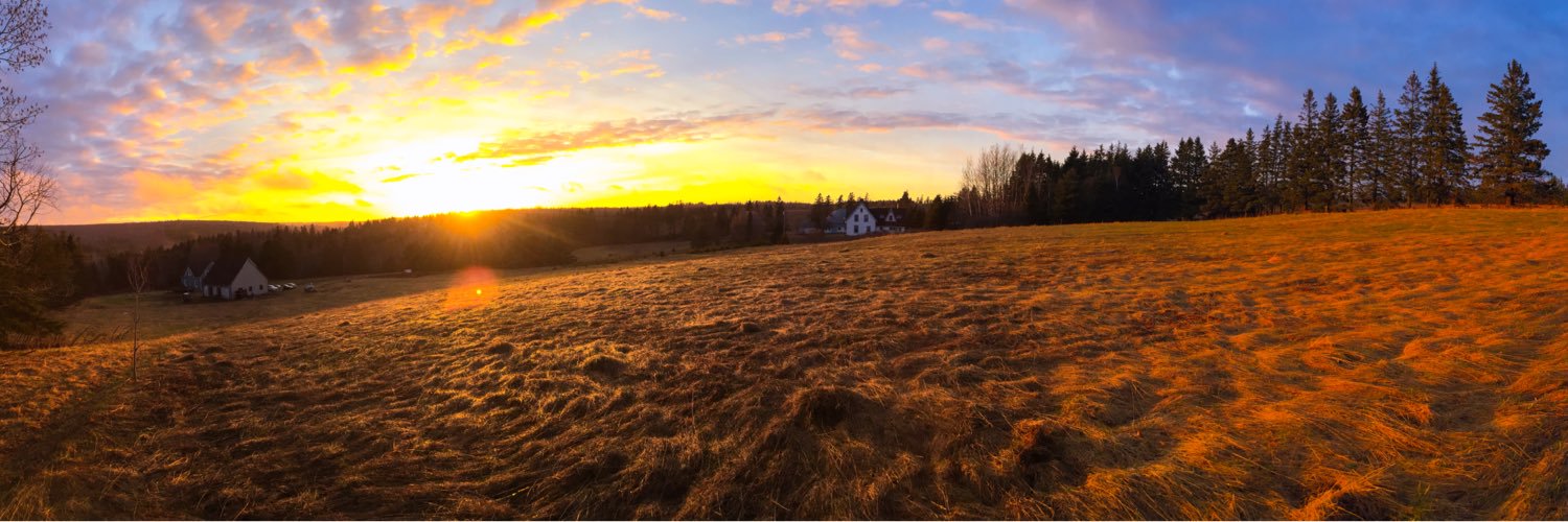 AlanaSprague's profile banner image