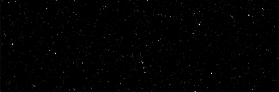 littlequantboy's profile banner image