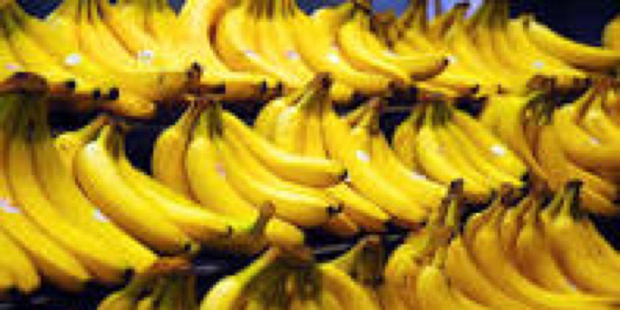 FHSbananas's profile banner image