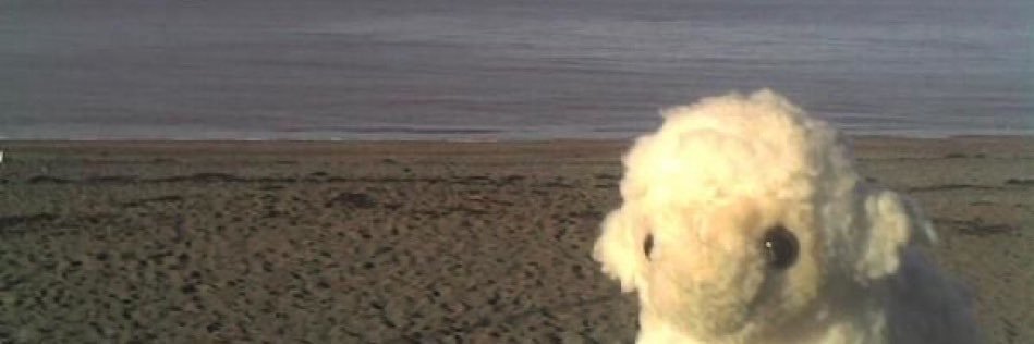 k8ert0t_'s profile banner image