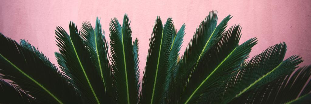 gobespoke1's profile banner image