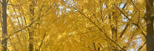 TheodoreBoborol Profile Banner