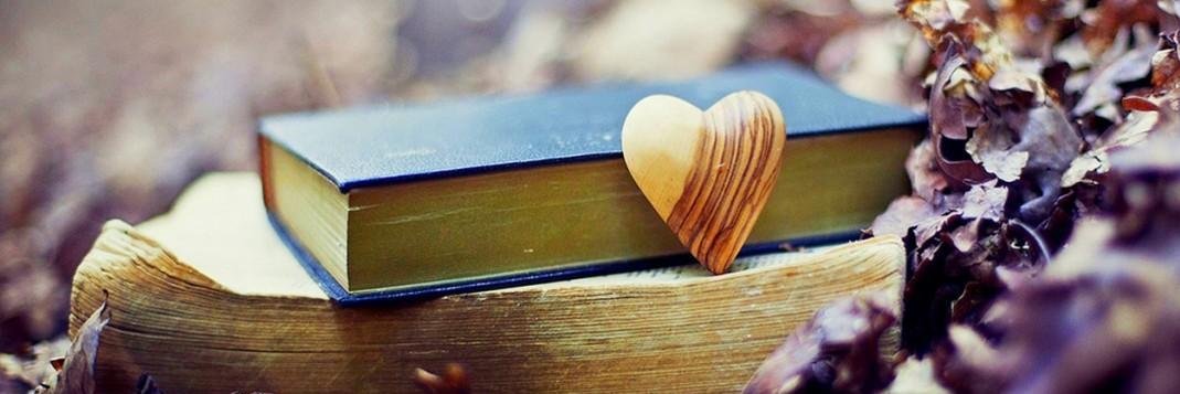 BMS Librarian banner