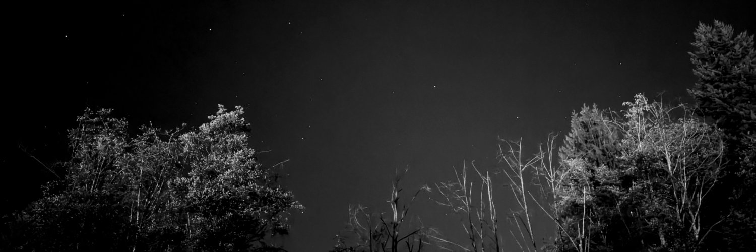 rhili_ris's profile banner image