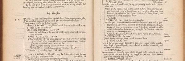 HenryWFowler Profile Banner