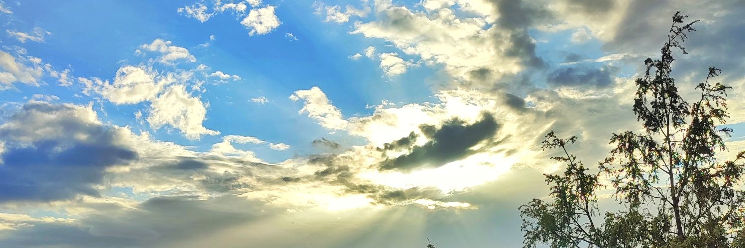 alejaandro1998's profile banner image