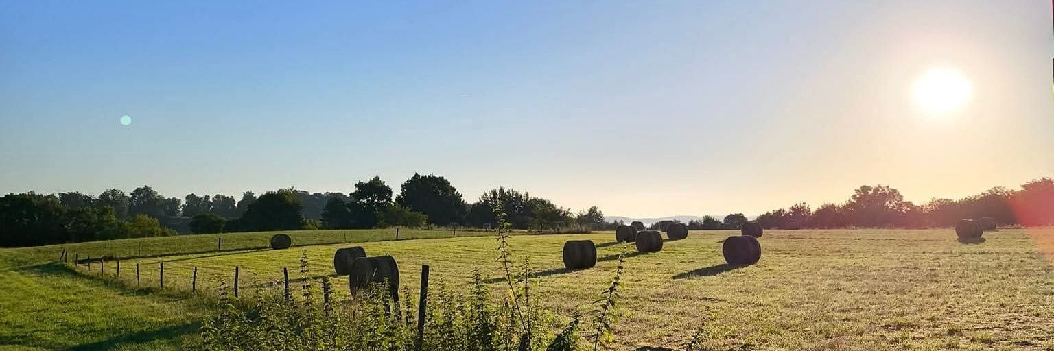 David Saforcada banner