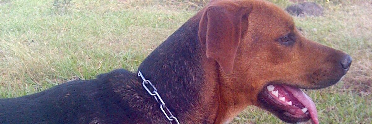 ivangg91's profile banner image